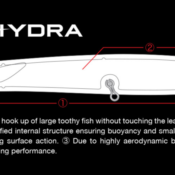 hydra inner structure